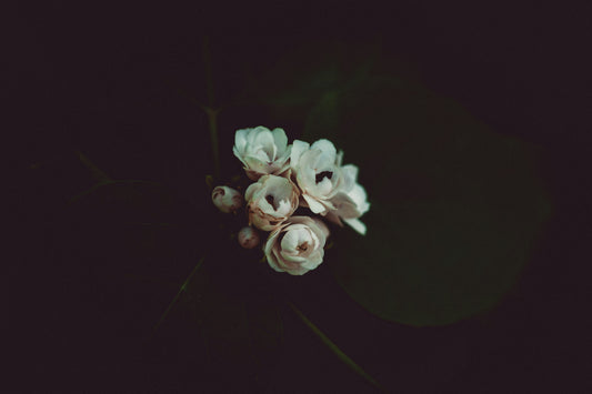 Moody
